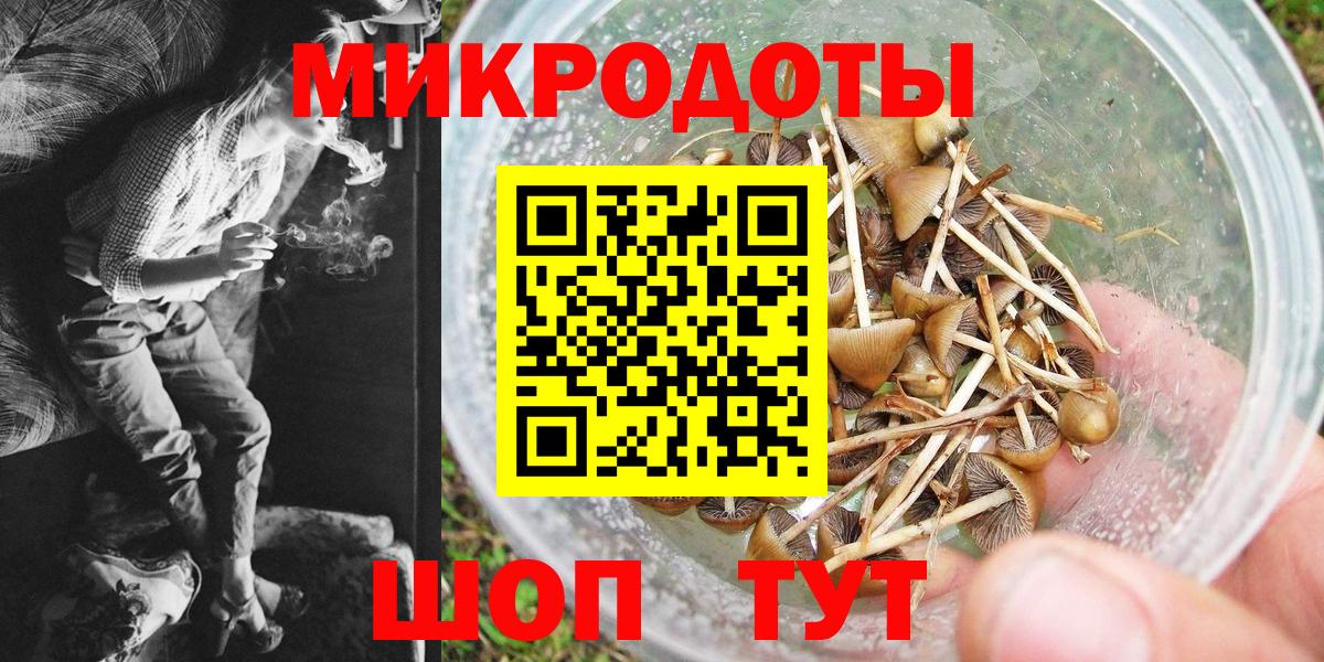 Лабинск  Псилоцибиновые грибы MAGIC MUSHROOMS  Псилоцибиновые грибы прущие грибы  Вход с VPN 